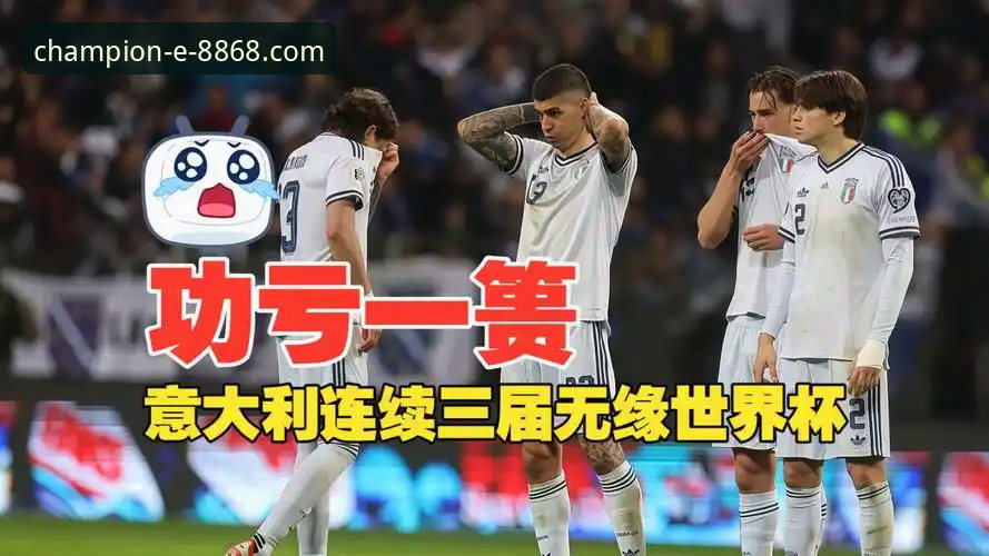 资深用户分享：波黑点球淘汰意大利，四星蓝衣军团连续三届无缘世界杯的观赛体验